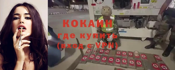 меф Пересвет