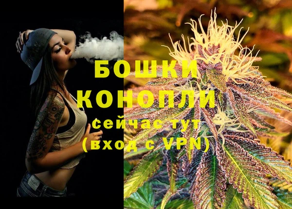 молекула духа Пестово