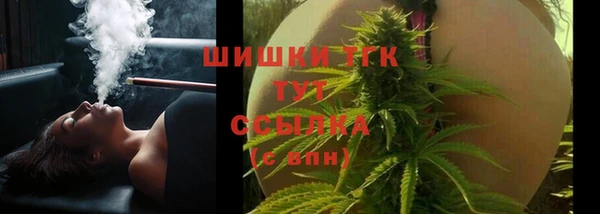 молекула духа Пестово