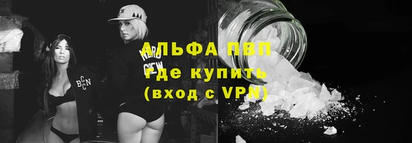 молекула духа Пестово