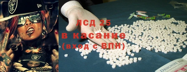 молекула духа Пестово