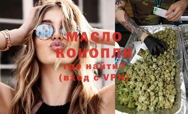 молекула духа Пестово