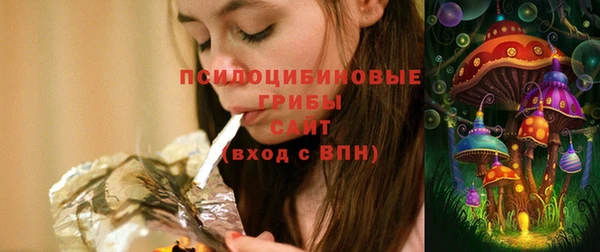 молекула духа Пестово