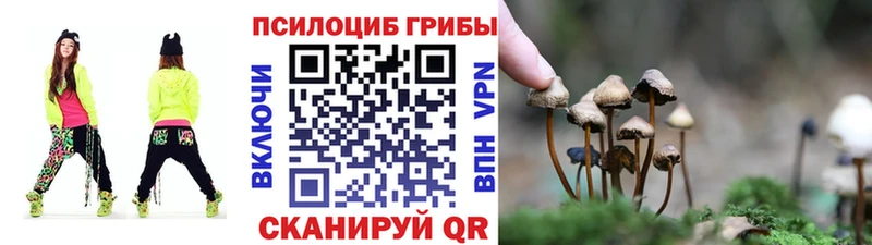 Галлюциногенные грибы прущие грибы цены наркотик Арзамас
